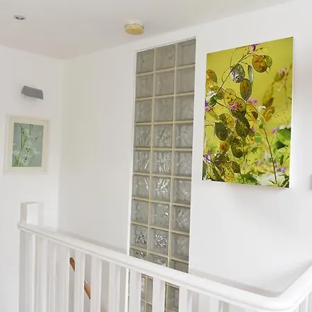 Jaffas Loft Homestay