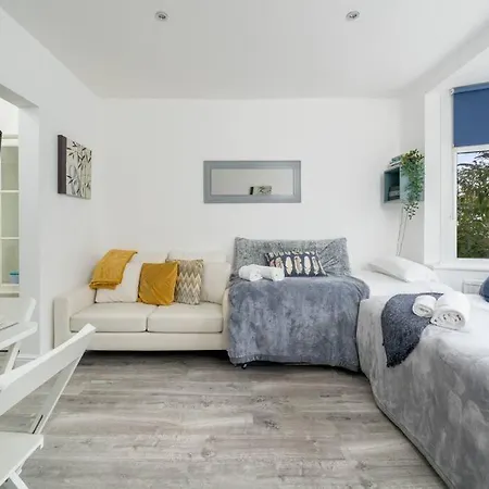 A Bright Lovely Spacious Studio. Apartment Woodford