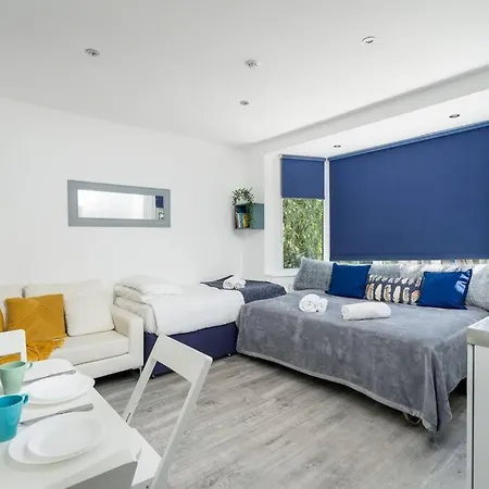 A Bright Lovely Spacious Studio. Apartment Woodford