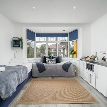 A Bright Lovely Spacious Studio. Apartment Woodford