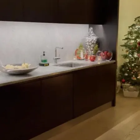 Luxury Apartment