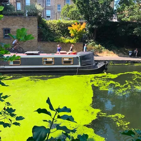 Urban Oasis With Views In Old St * London