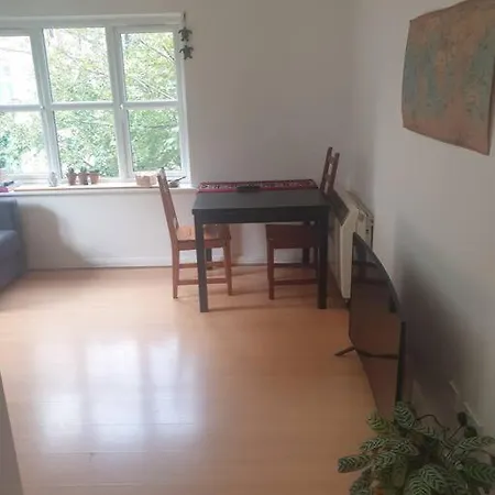 Apartment Peaceful On Sharing Flat In Wimbledon *