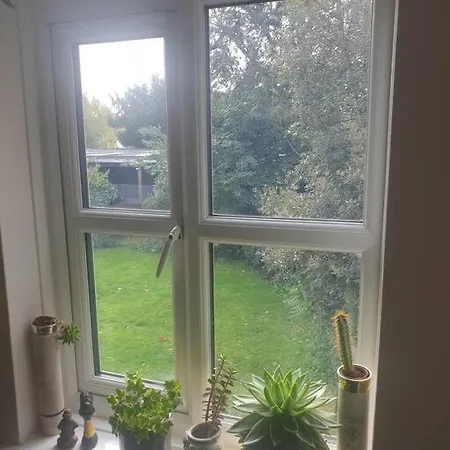 Peaceful On Sharing Flat In Wimbledon London