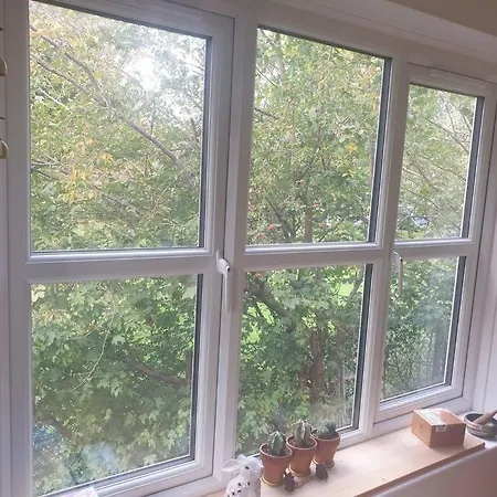 Peaceful On Sharing Flat In Wimbledon London