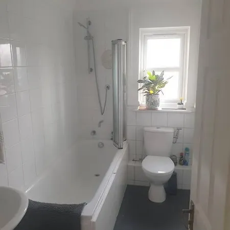 Peaceful On Sharing Flat In Wimbledon Apartment *