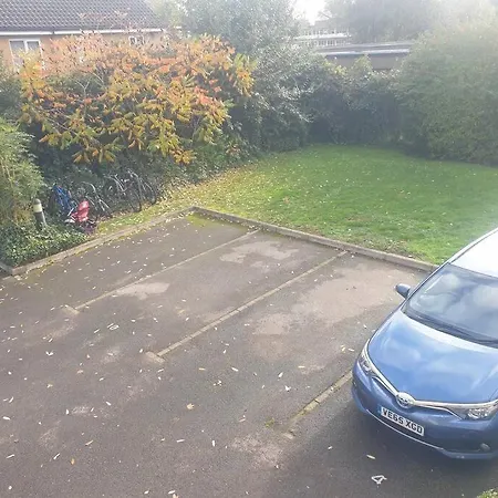 Peaceful On Sharing Flat In Wimbledon Apartment London