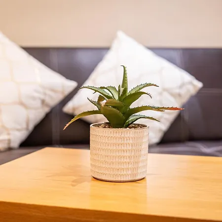 Large 2min To Hendon Station Lejlighed *