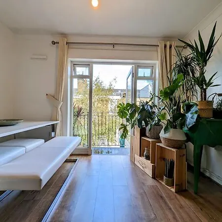 Apartment Large, Plant Filled Flat With Balcony *