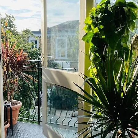 Large, Plant Filled Flat With Balcony Apartment