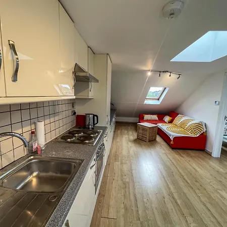 1 Bed Attic Flat With Easy Reach To Centre Apartment London