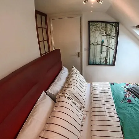 1 Bed Attic Flat With Easy Reach To Centre
