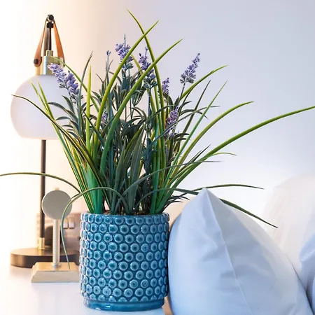 Cosy In Great Location! London