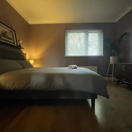 Luxury Mid Century Homestay *