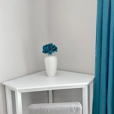 Apartment Private Luxury One Bedroom With Parking