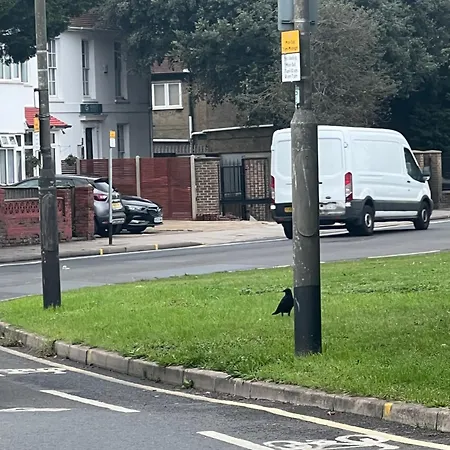 South London *
