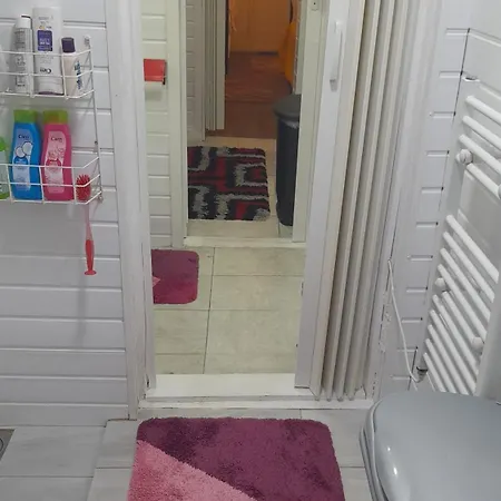 Apartment Private Extension With Bathroom And Kitchen London