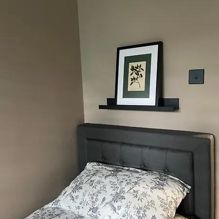 Homestay Luxury Mid Century London