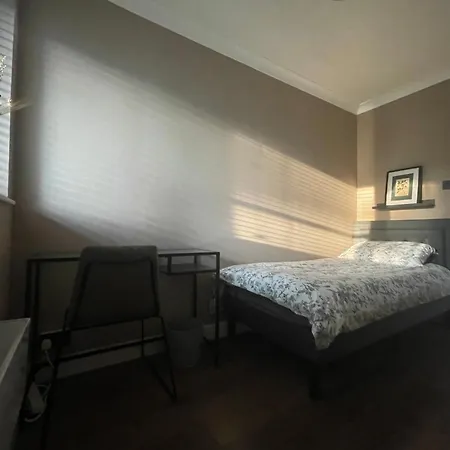 Luxury Mid Century Homestay