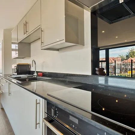 Modern Penthouse In Wembley *