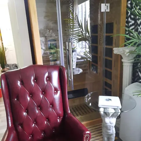 Lili -lovely 2 Studio In Wembley Stadium Apartment *
