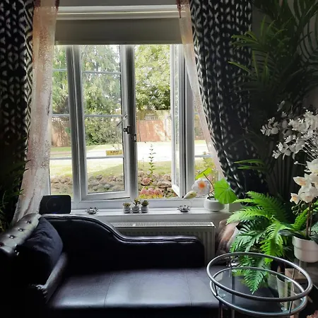 Apartment Lili -lovely 2 Studio In Wembley Stadium
