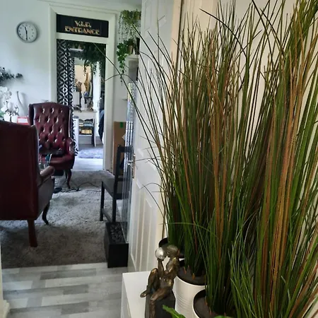 Apartment Lili -lovely 2 Studio In Wembley Stadium *