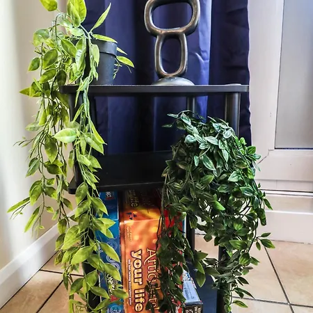 Cosy Property Right By Warren Street Station! Free Wifi! Apartment