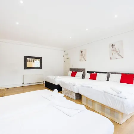 Mansion House With Spacious Close To Excel And Canarywharf * London