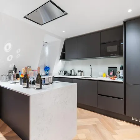 Stunning 1-bedroom Penthouse In Marble Arch 72