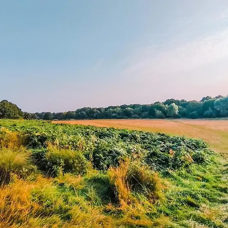The Pembroke Studio By Richmond Park