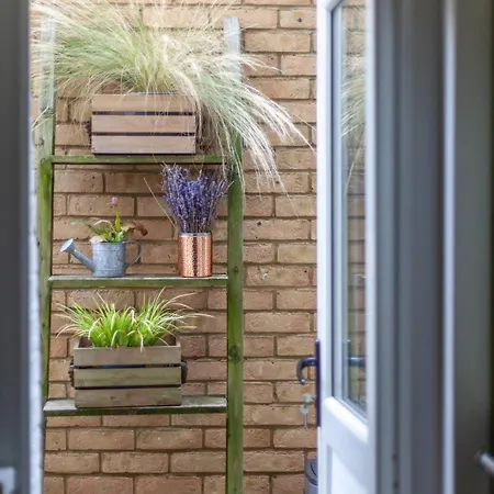The Finsbury Park Collection
