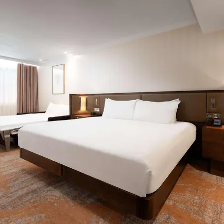 Hotel Hilton Hyde Park 4*