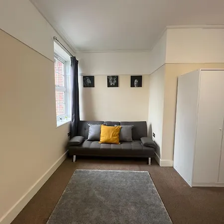 Stunning Wembley Stadium Flat Homestay London