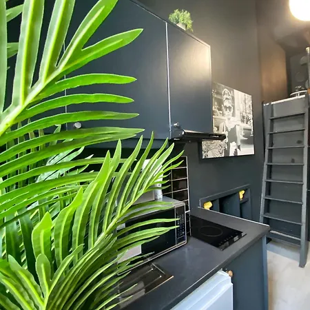 Modern Close To Hyde Park London
