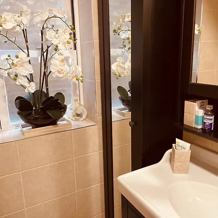 Homely 2 Levels Flat W Private Garden