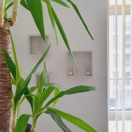 Luxury 2 Bedroom Flat In Central * London