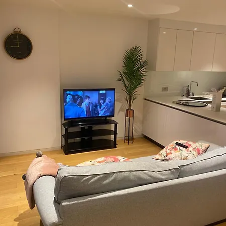 Cosy Long Term Apartment London