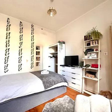 A Lovely Guest In West London