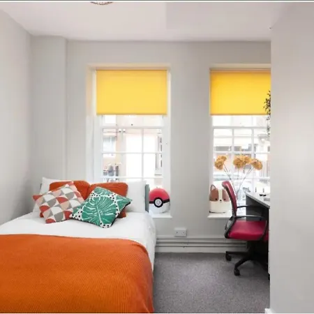 Spacious With Shared Facilities Apartment London