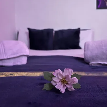 Apartment In Camden, Location