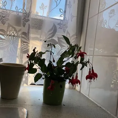 Carpe Diem Flat Near Zone 1 Apartment London