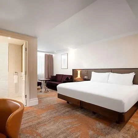 Hotel Hilton Hyde Park 4*