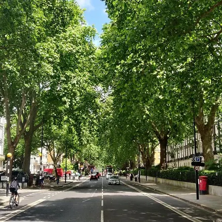 Indigo Hyde Park Paddington By Ihg Hotel