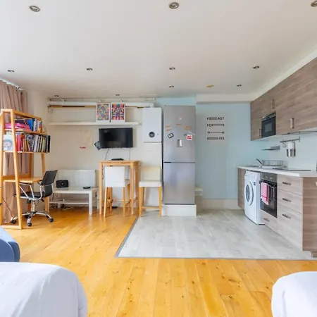 Apartment Spacious Studio In Kennington London