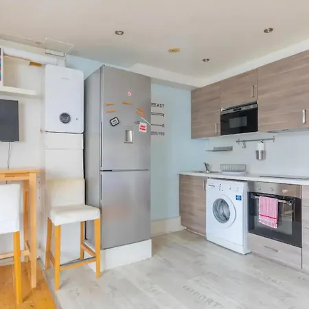 Apartment Spacious Studio In Kennington London