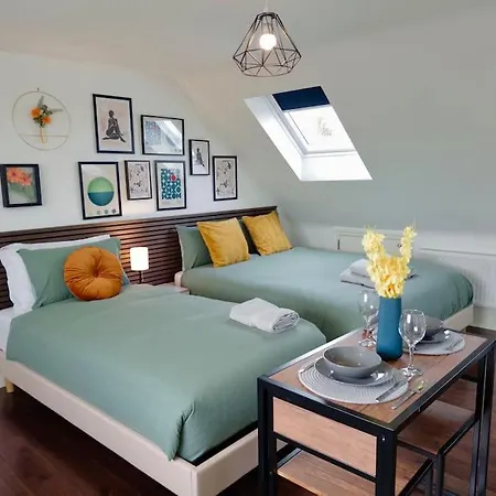 Superb Loft 30min To Apartment London