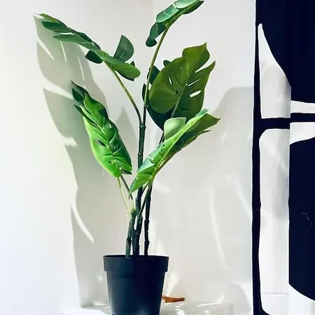 Modern 2 Bedroom Flat In Balham Apartamento