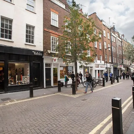 Stylish With Private Rooftop In Covent Garden Apartment