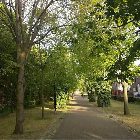 Cosy House Close To Bridge London